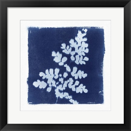 Framed Flora Cyanotype I Print