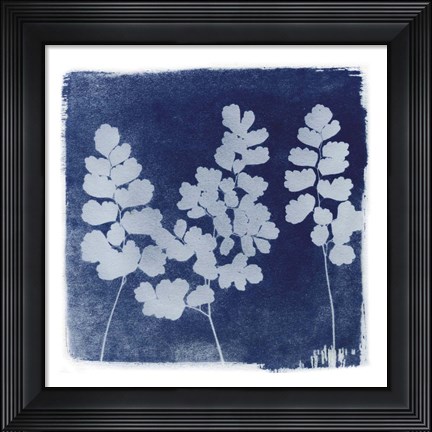 Framed Flora Cyanotype II Print