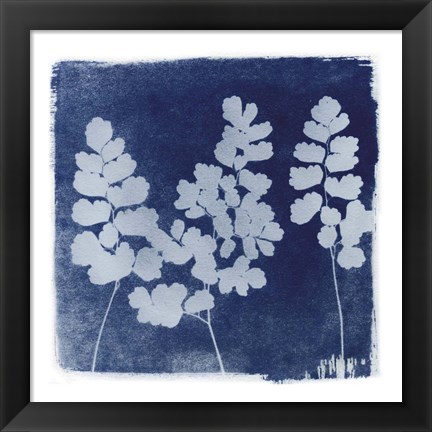 Framed Flora Cyanotype II Print