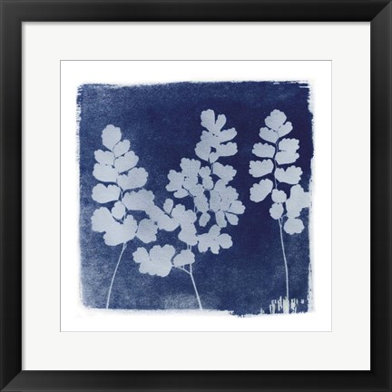 Framed Flora Cyanotype II Print