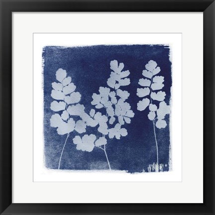 Framed Flora Cyanotype II Print