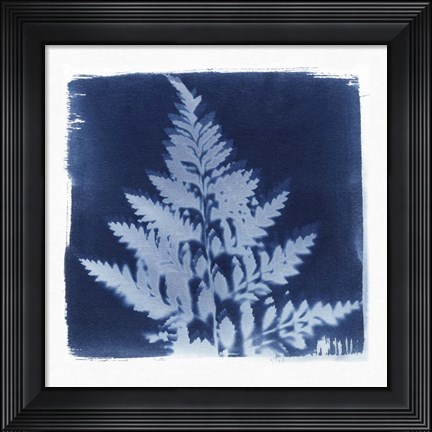 Framed Flora Cyanotype II Print