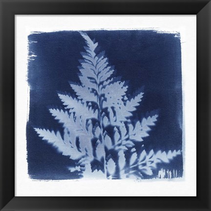 Framed Flora Cyanotype II Print