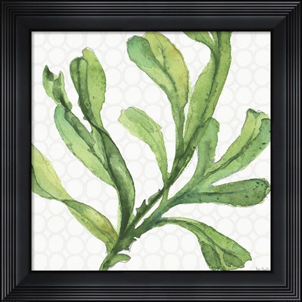 Framed Mixed Greens XIX Print