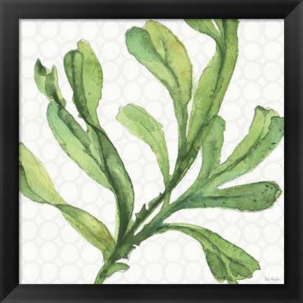 Framed Mixed Greens XIX Print