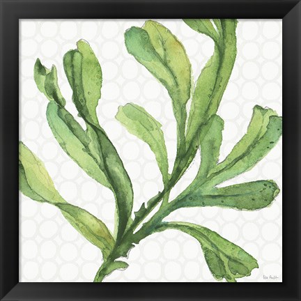 Framed Mixed Greens XIX Print