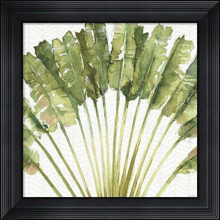Framed Mixed Greens VIII Print