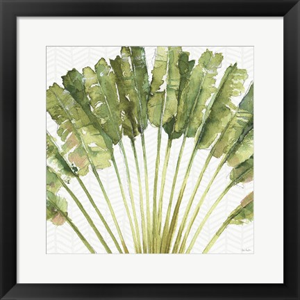 Framed Mixed Greens VIII Print