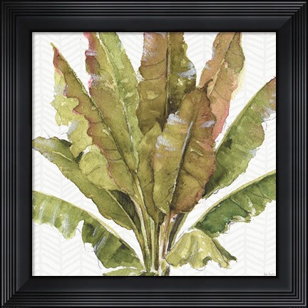 Framed Mixed Greens VII Print