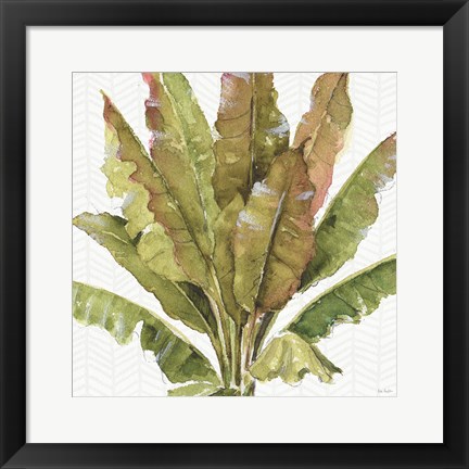 Framed Mixed Greens VII Print