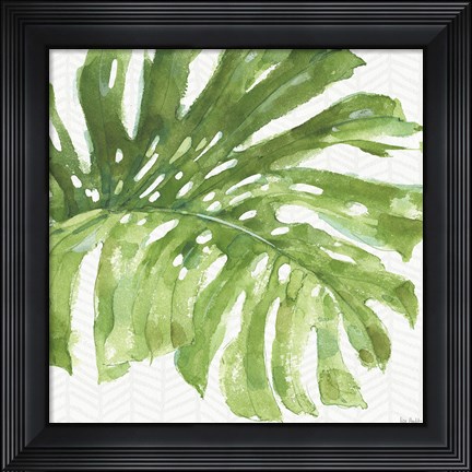 Framed Mixed Greens LXXIV Print