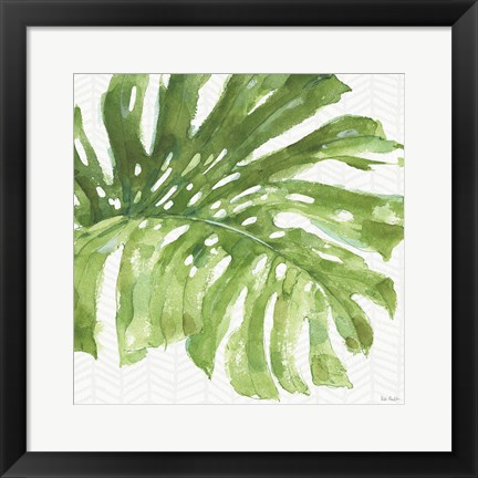 Framed Mixed Greens LXXIV Print