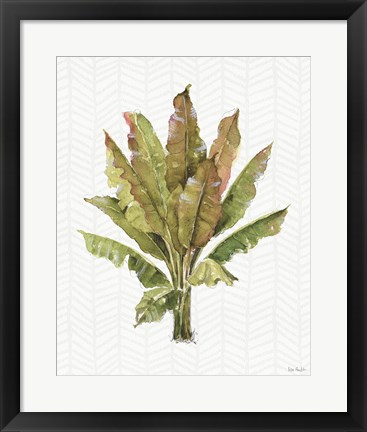 Framed Mixed Greens IX Print