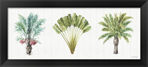Framed Mixed Greens XVI Print