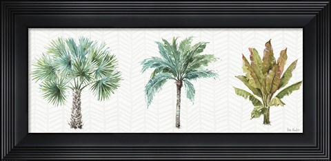 Framed Mixed Greens XV Print