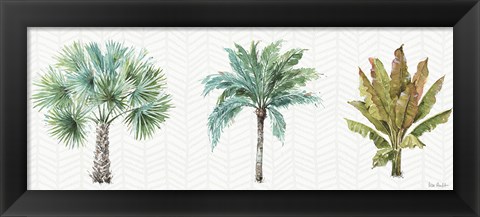 Framed Mixed Greens XV Print