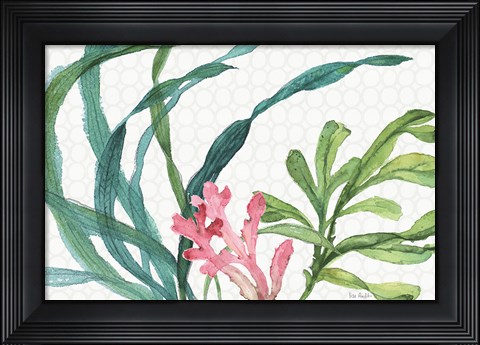 Framed Mixed Greens XVII Print