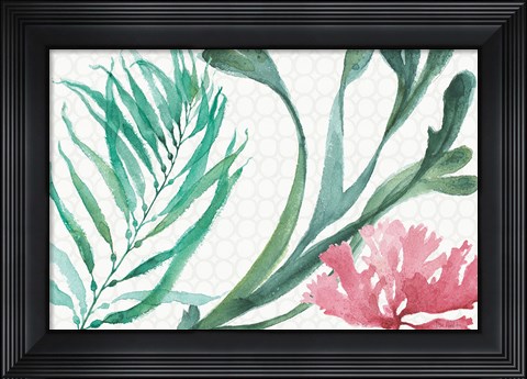 Framed Mixed Greens XVIII Print