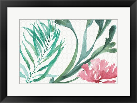 Framed Mixed Greens XVIII Print
