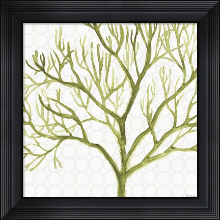 Framed Mixed Greens XXII Print