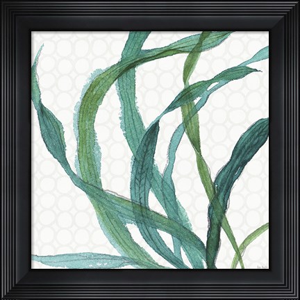 Framed Mixed Greens XXIII Print