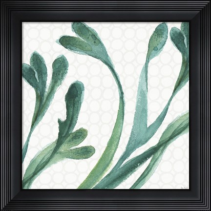 Framed Mixed Greens XXIV Print