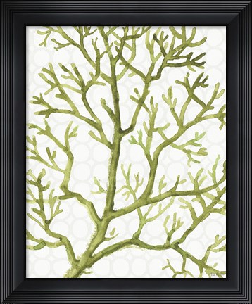 Framed Mixed Greens XXV Print