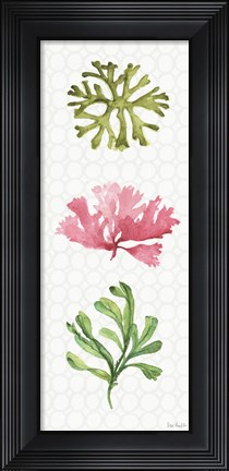 Framed Mixed Greens XXVII Print