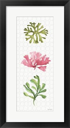 Framed Mixed Greens XXVII Print