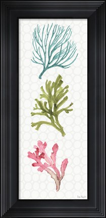 Framed Mixed Greens XXVIII Print