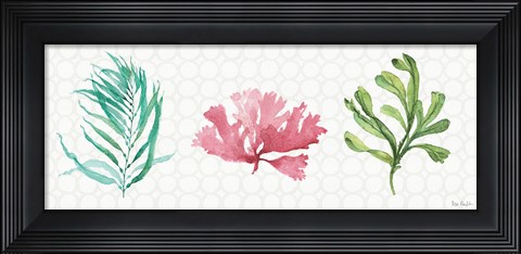 Framed Mixed Greens XXXI Print