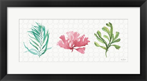 Framed Mixed Greens XXXI Print