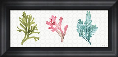 Framed Mixed Greens XXXII Print
