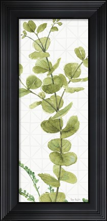 Framed Mixed Greens LX Print