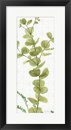 Framed Mixed Greens LX Print