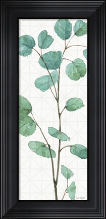 Framed Mixed Greens LIX Print