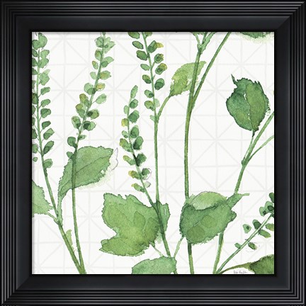 Framed Mixed Greens LIV Print