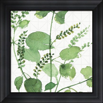 Framed Mixed Greens LIII Print