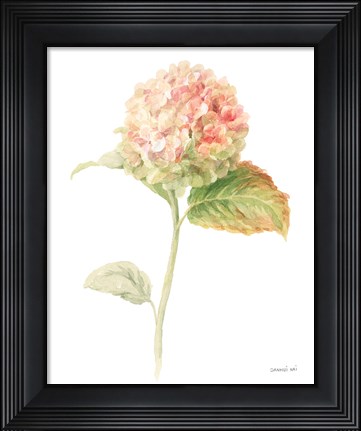 Framed Floursack Florals on White V Print