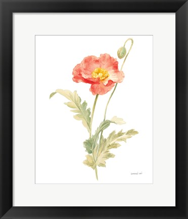 Framed Floursack Florals on White IV Print