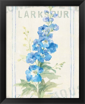 Framed Floursack Florals VII Print