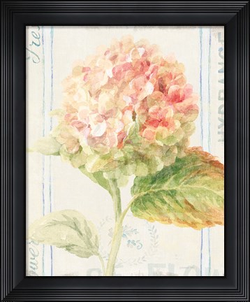 Framed Floursack Florals VI Print