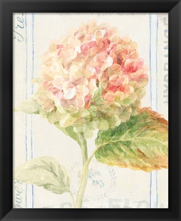 Framed Floursack Florals VI Print