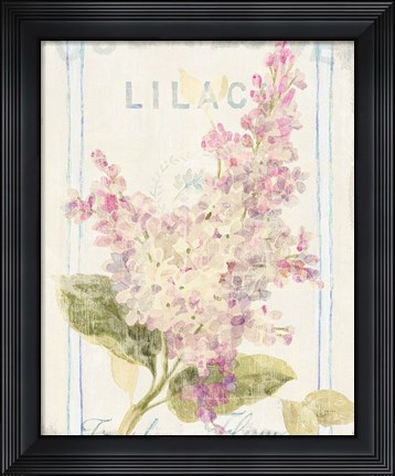 Framed Floursack Florals V Print