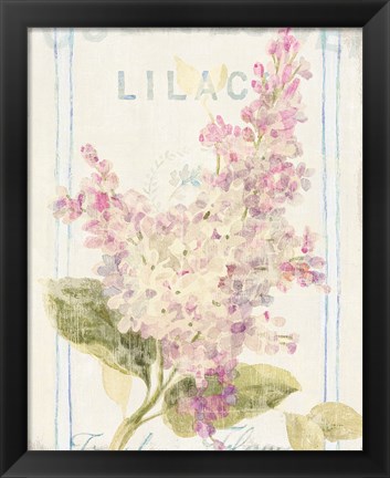 Framed Floursack Florals V Print