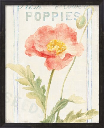 Framed Floursack Florals IV Print