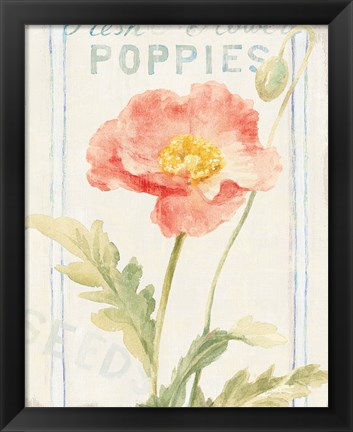 Framed Floursack Florals IV Print