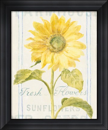 Framed Floursack Florals II Print