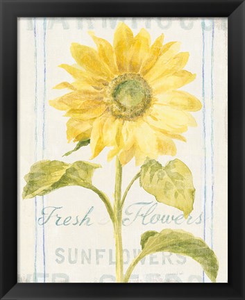 Framed Floursack Florals II Print