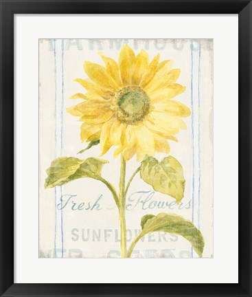 Framed Floursack Florals II Print